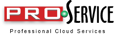 partner image